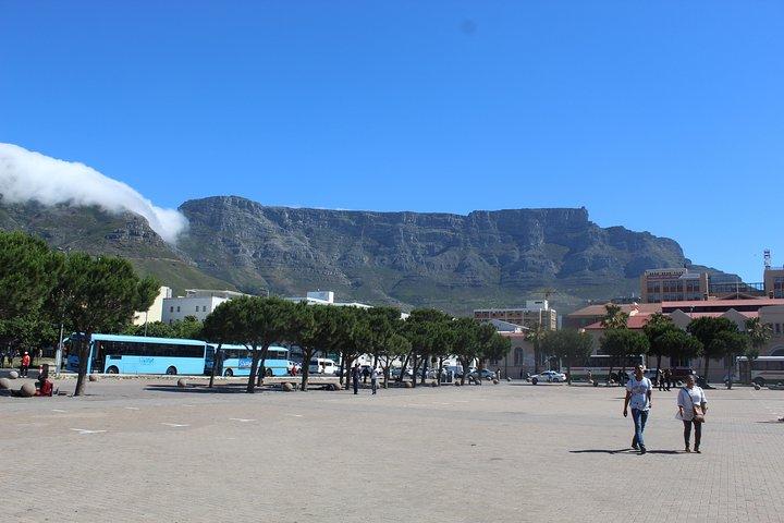 Private City Tour Table Mountain + Cable Car Ticket Camps Bay H/D