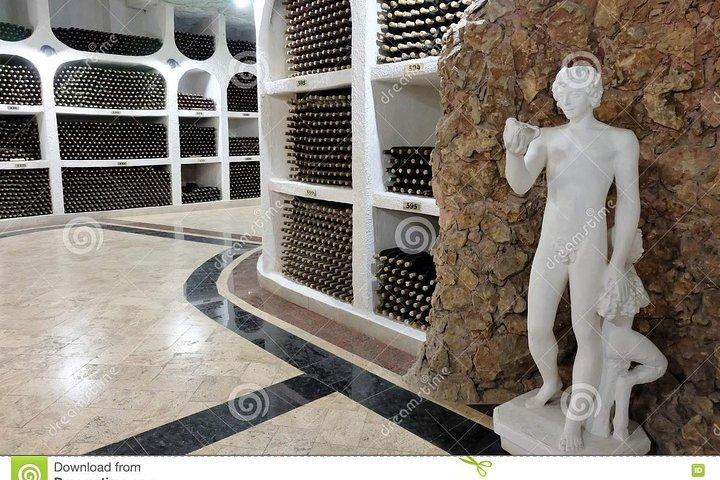 CRICOVA Winery tour with tasting from Chisinau