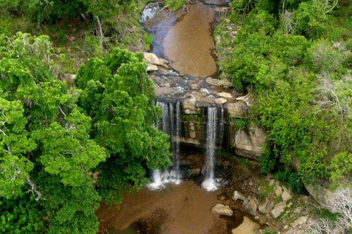 Shimba Hills National Reserve Day Tour from Mombasa/Diani Beach & surroundings
