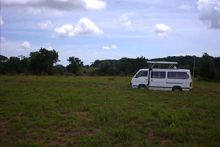 Shimba Hills National Reserve Day Tour from Mombasa/Diani Beach & surroundings