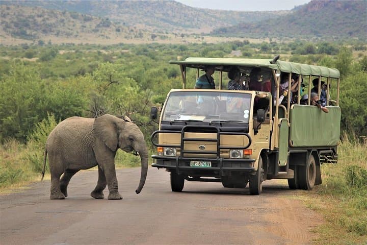5-Day Garden Route Shared Tour from Cape Town including Addo National Park
