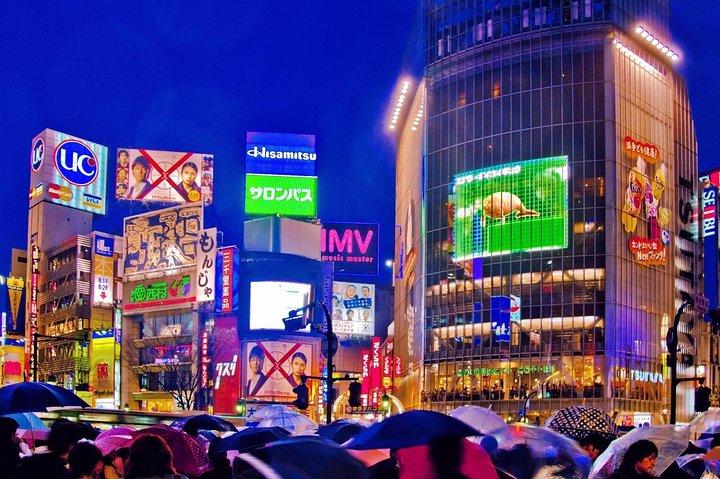 Tokyo City Night View Tour with Native Japanese Driver