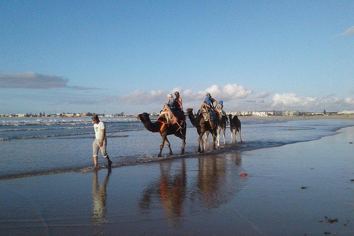Essaouira: 2H camel/pick up and drop off including
