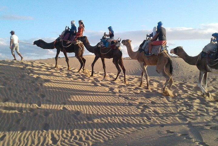 Essaouira: 2H camel/pick up and drop off including