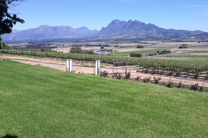 Wine Tasting in Stellenbosch, Franschhoek & Paarl fees included.