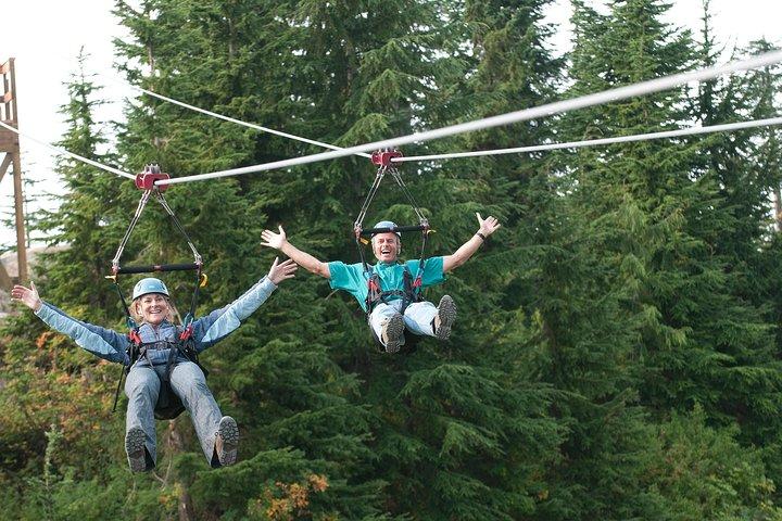 Vancouver: Capilano Suspension Bridge & Grouse Mountain Tour