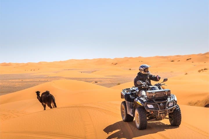Dubai Desert BBQ Dinner, Camel Ride, Sandboarding and Live Shows