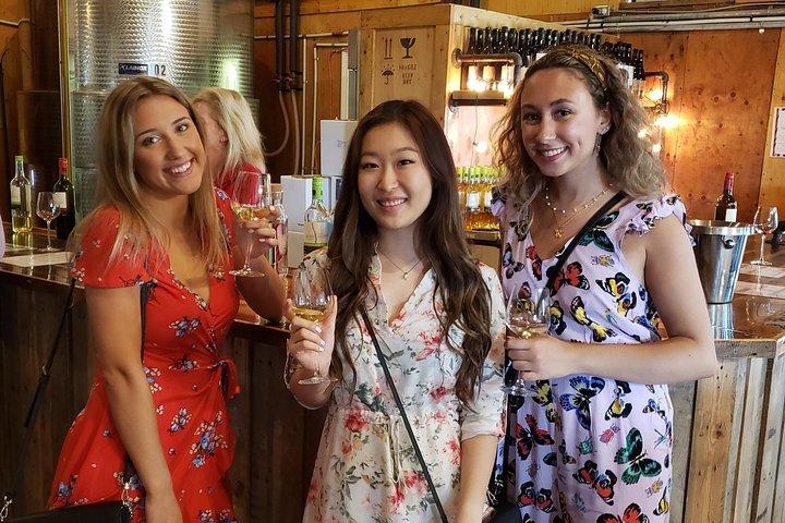 Niagara-on-the-Lake Wine Aft Tour with Cheese from Niagara Falls