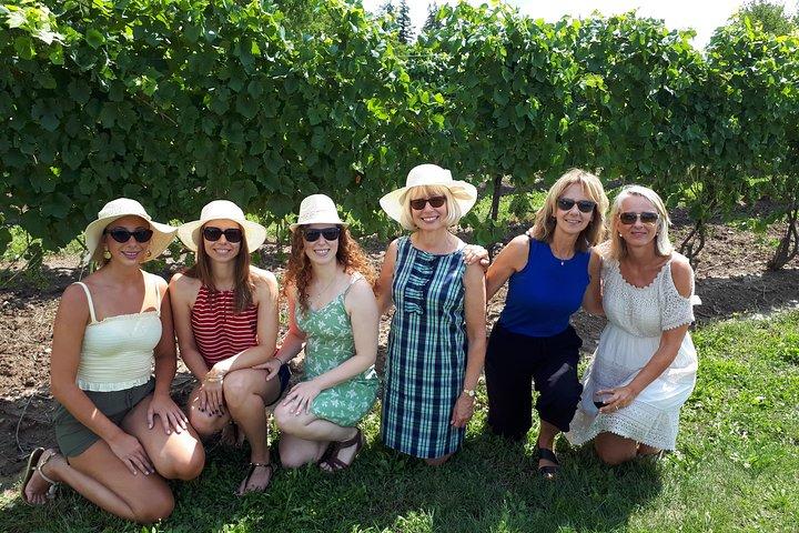 Niagara-on-the-Lake Wine Aft Tour with Cheese from Niagara Falls