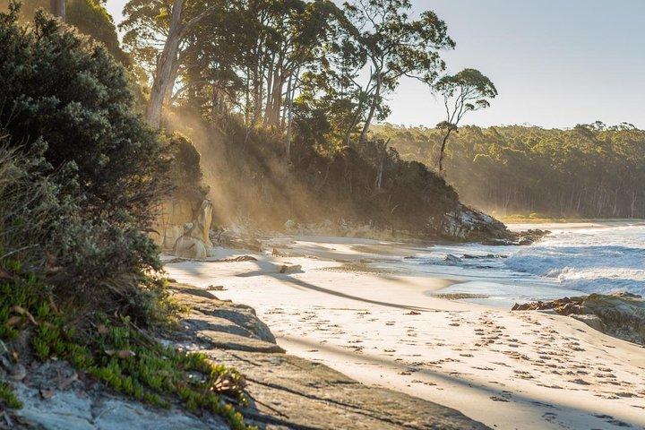 2 Day Tasmanian Highlights Tour - Bruny Island & Port Arthur