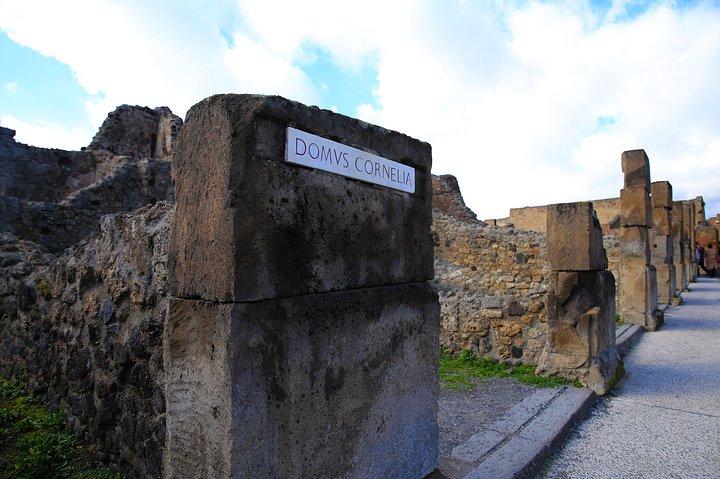 Private Half-Day Tour of The Pompeii Ruins Highlights and Mann