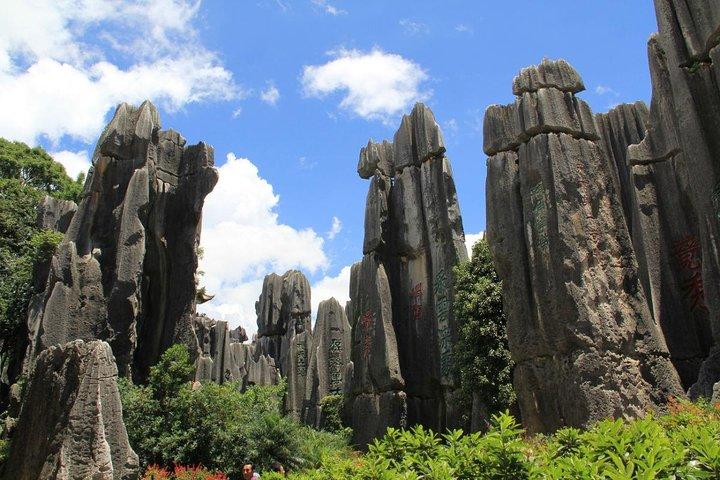 1-Day Private Tour:Stone Forest and Western Hill(Dragon Gate) from Kunming