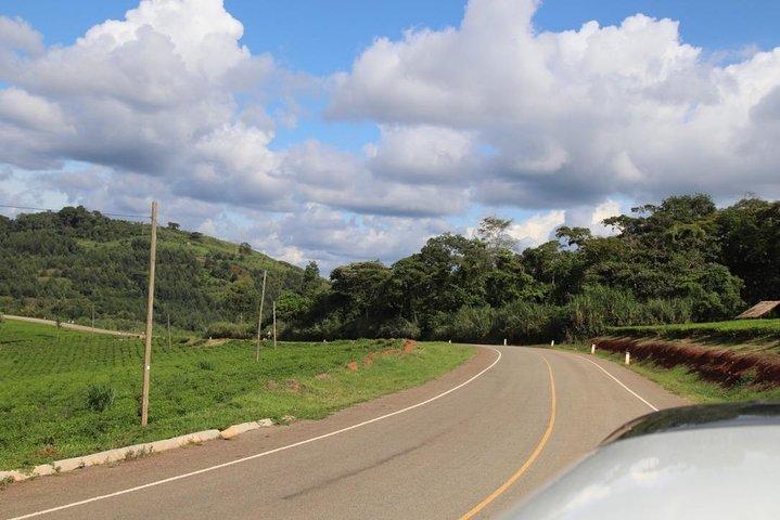 2 Day Chimpanzee Trek at Kibale National Park