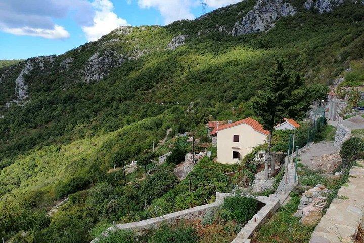 Unique local gastro experience in hills above Budva