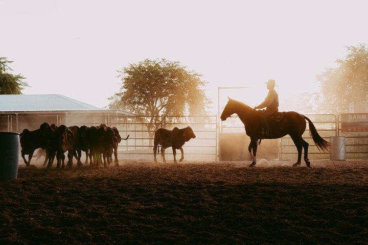 Katherine Outback Experience Show Ticket