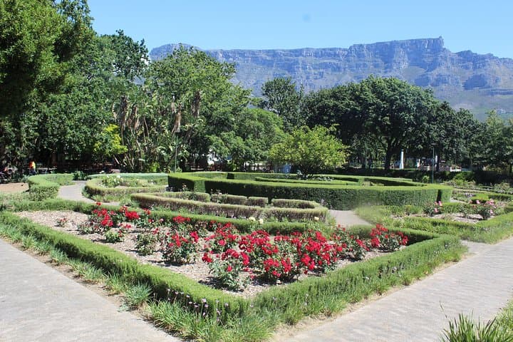 Table Mountain City Tour Camps Bay Kirstenbosch Gardens Plus All tickets Shared