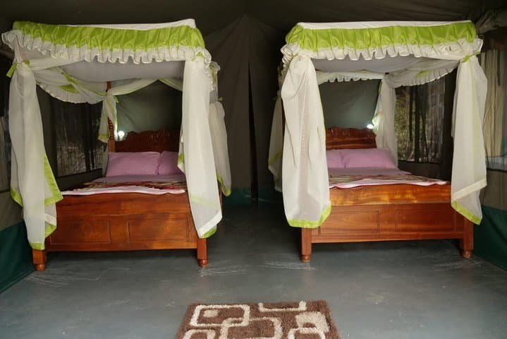 4 Days lake manyara -Ngorongoro crater- Tarangire safari