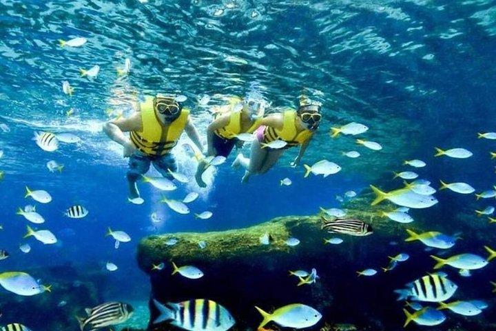 Adventure Cove WaterPark Sentosa Island Singpore