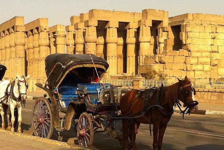 Luxor City Tour By Horse Carriage From West Bank