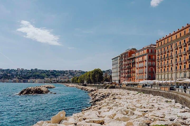 Private 8-hour Excursion of Naples and Pompeii from Naples Cruise Port or Hotel
