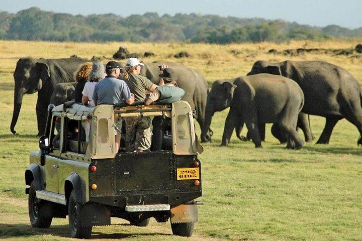 Sigiriya Day Tours with Sri Lanka Friendly Driver