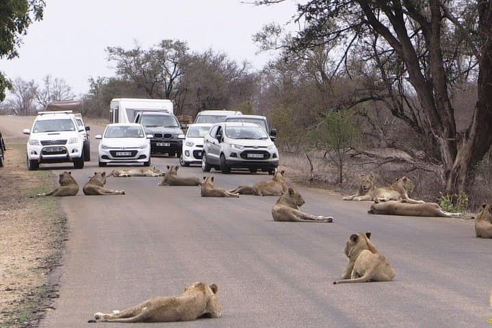 Nairobi National Park, Giraffe center & Beads Factory Guided Day Tour