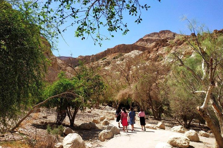 4WD Masada Ein Gedi Judea desert Dead Sea adventure 4x4 Tour.