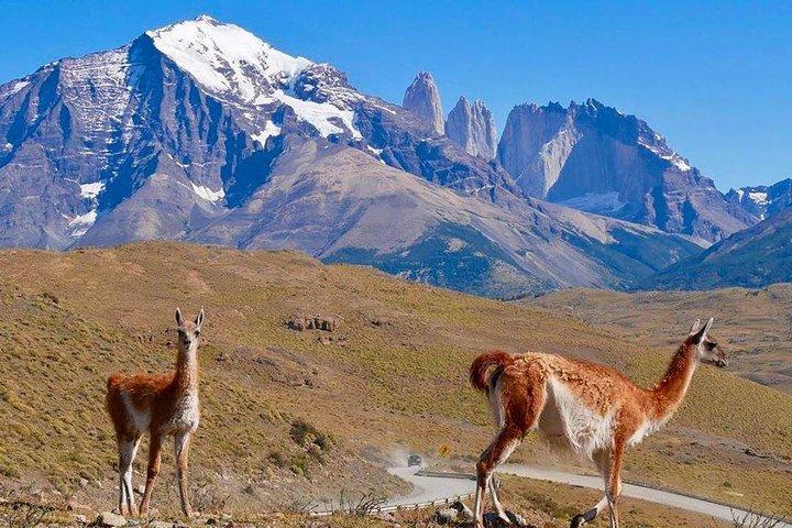 Torres del Paine Tour from Punta Arenas