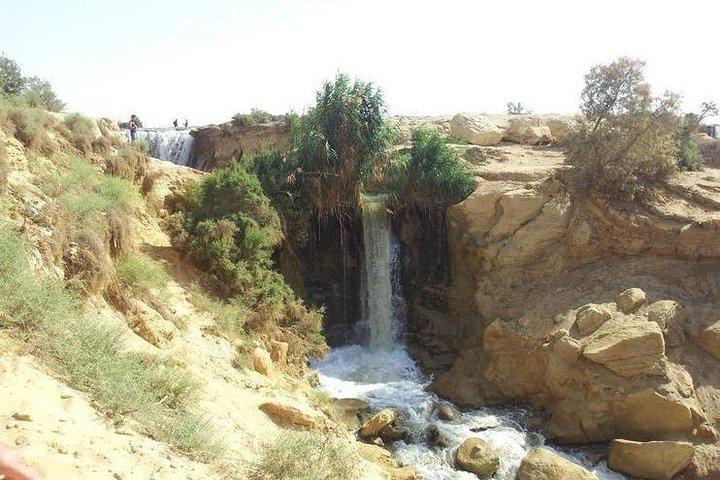 Private day tour El Fayoum ,and Valley of Whales with safari