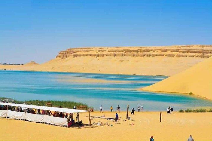 Private day tour El Fayoum ,and Valley of Whales with safari