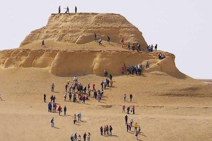 Private day tour El Fayoum ,and Valley of Whales with safari