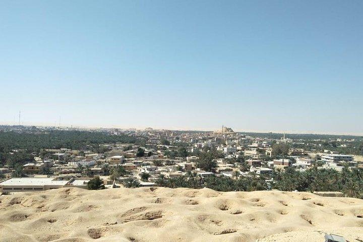 Siwa and El Alamein private tour