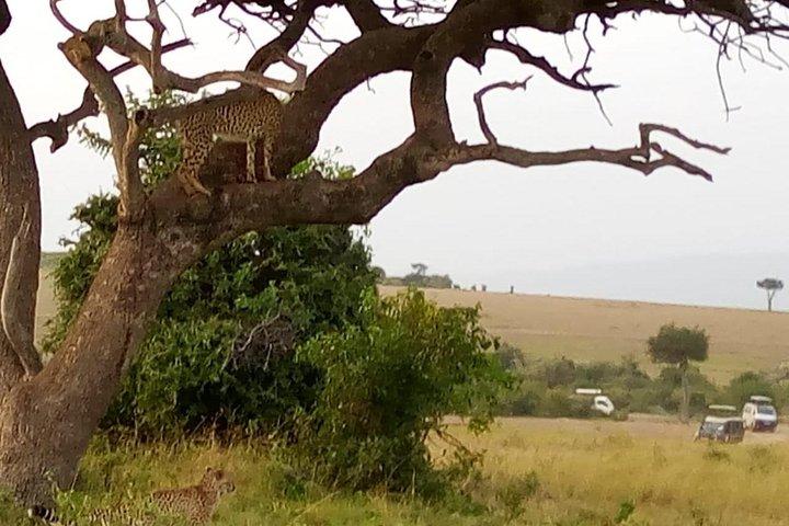 Day excursion lake Nakuru National Park.