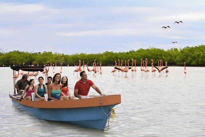 Discover the FABULOUS PINK WATERS at the Caribean (Las Coloradas+Río Lagartos)