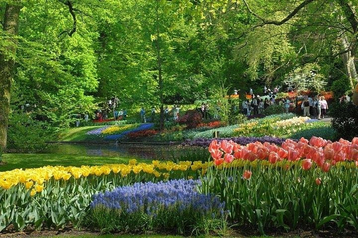 Private day trip to The Keukenhof Gardens and The Zaanse Schans Windmills