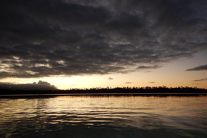 Bio Bay Kayak Tour in Fajardo
