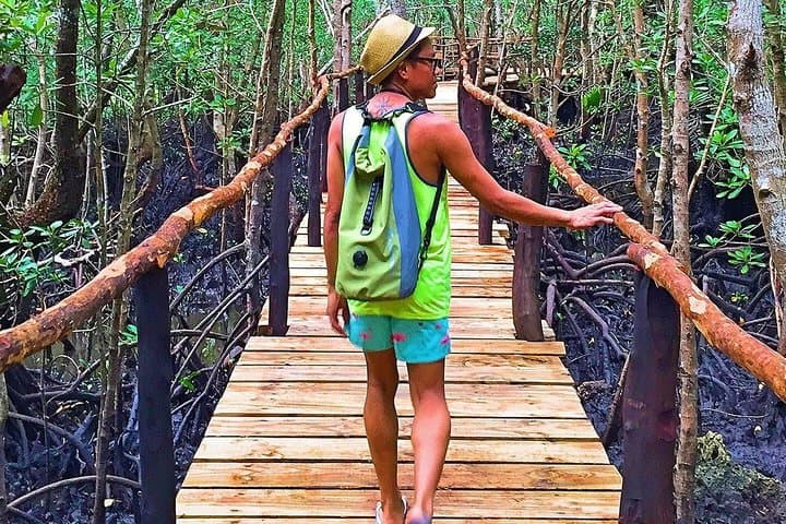 Half-Day Walking Tour in Jozani Jungle
