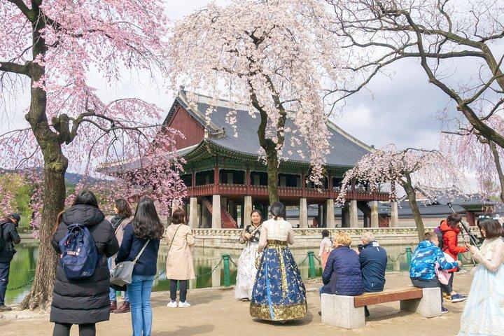 Seoul Highlights & Hidden Gems – Private Tour with Photo Service
