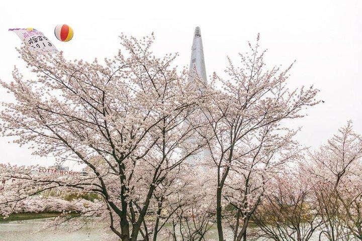 Seoul Highlights & Hidden Gems – Private Tour with Photo Service