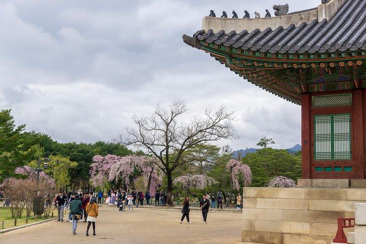 Seoul Highlights & Hidden Gems – Private Tour with Photo Service