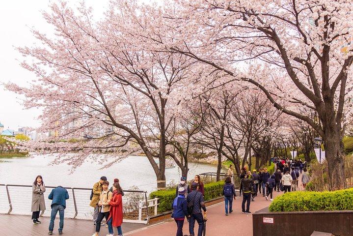 Seoul Highlights & Hidden Gems – Private Tour with Photo Service