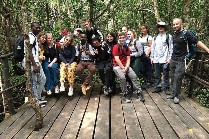Half-Day Walking Tour in Jozani Jungle