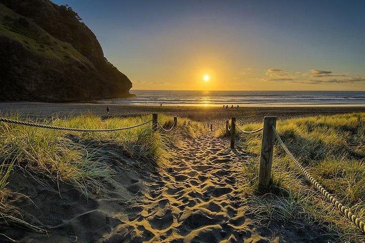 West Coast Discovery - Piha Beach or Muriwai Beach from Auckland