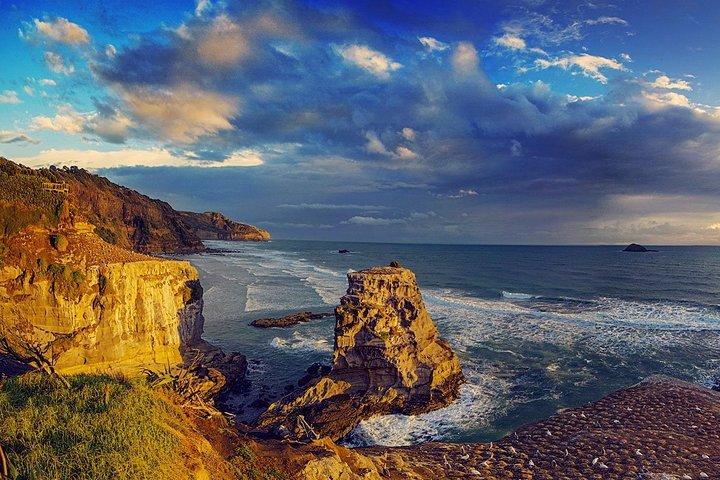 West Coast Discovery - Piha Beach or Muriwai Beach from Auckland