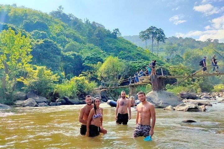 Top Pick - Full or Half Day @Elephant in Wild Sanctuary ChiangMai