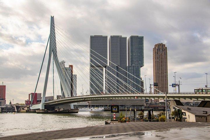 Discover Rotterdam’s most Photogenic Spots with a Local