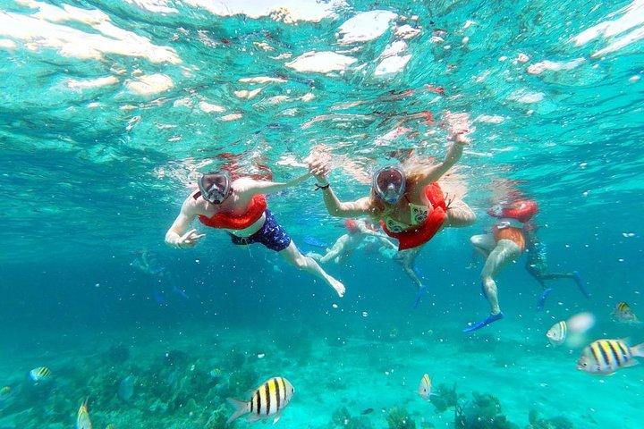 Party Catamaran: OpenBar, Music, Negril Beach, Rick's Cafe, Reef