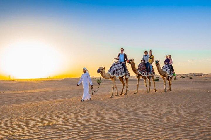 Standard Desert Safari 4X4 Pickup & Drop with Dinner & Live Shows