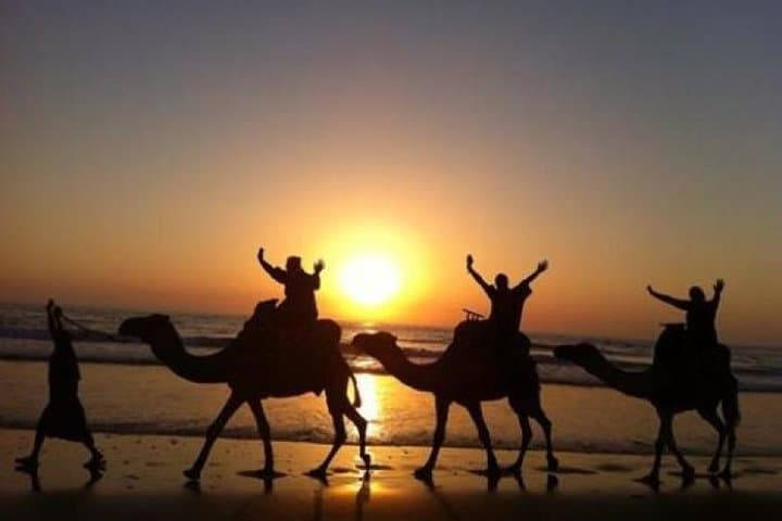 Camel Riding Agadir