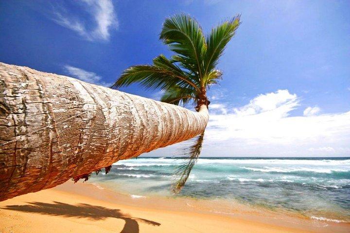 "Galle" One day Private Tour in Sri Lanka